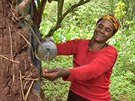 Turunge z Etiopie má díky echm pístup k pitné vod.