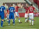 etí fotbalisté se radují z gólu  proti Islandu, uprosted stelec Tomá...