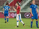 eský záloník Jan Sýkora se raduje z gólu v pípravném utkání proti Islandu na...