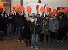 Zhruba ticet lid protestovalo odpoledne v Lipnku nad Bevou pi setkn...