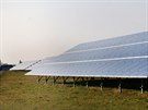 Fotovoltaická elektrárna u brnnského letit se rozkládá na 40 hektarech a má...
