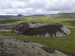 Zpadn fjordy