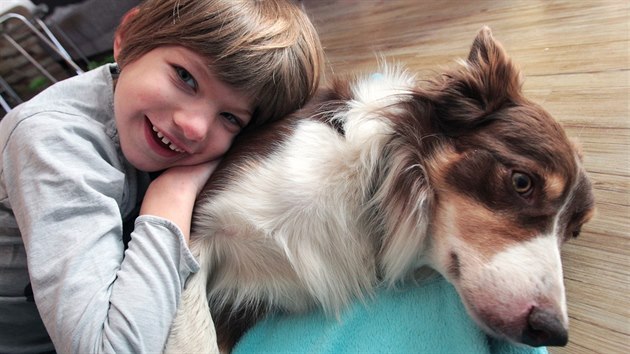 Desetileté Alicii už pět let pomáhá asistenční pes Bruce. Díky němu si dívka vytvořila soubor posunků, které nahrazují řeč.