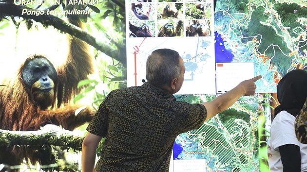 editel indonskho Ministerstva lesnho hospodstv ukazuje region, kde se nov objeven druh orangutana vyskytuje. (3. listopadu 2017)