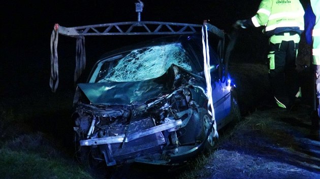 U obce Kenek uteklo stdo kon, na silnici jednoho porazilo auto. (3.11.2017)