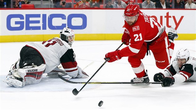 Tom Tatar (v ervenm) z Detroitu proti arizonskmu glmanovi Scottu Wedgewoodovi.