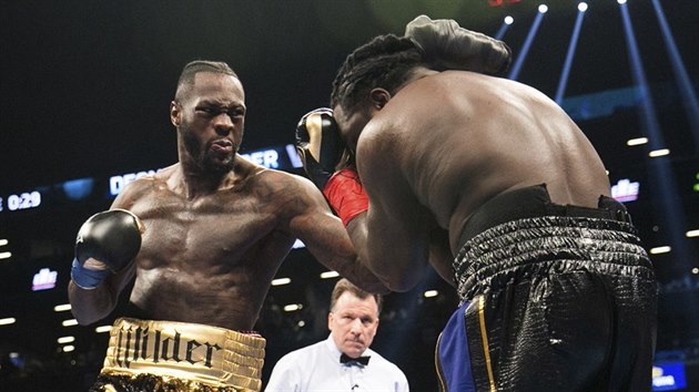 Deontay Wilder (vlevo) trefuje Bermaneho Stiverna v duelu o titul mistra svta organizace WBC.