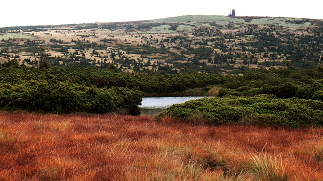 Zpadokrkonosk nhorn planina mezi Kotlem (1435 m n. m.) a sttn hranic vypad jako krajina z jin planety.