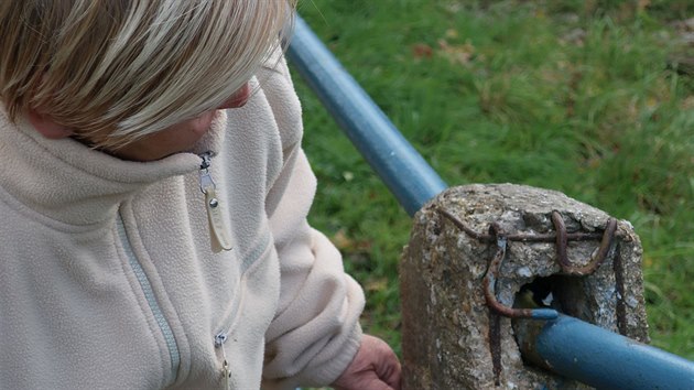 Na sýkorku uvázlou v betonovém zábradlí upozornila starší žena z Vejprnic.