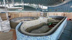 emeslníci dokonují novou víivku na plaveckém stadionu v eských Budjovicích.