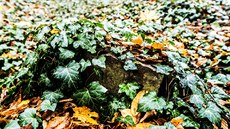 Na bohnickém h�bitov� jsou pochovaní �ebráci, d�lníci, ú�edníci, d�ti i starci, ale t�eba i poslední p�íslu�ník slavného pr�myslnického rodu baron Karel �koda. 