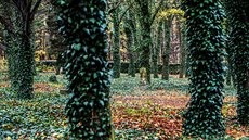 Na bohnickém h�bitov� jsou pochovaní �ebráci, d�lníci, ú�edníci, d�ti i starci, ale t�eba i poslední p�íslu�ník slavného pr�myslnického rodu baron Karel �koda. 