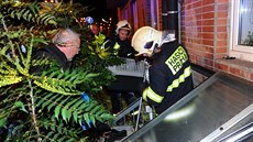 V Praze 6 se zabhl medvd mýval, úkryt nael ve svtlíku. (1.11.2017)