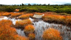 Západokrkonoská náhorní planina mezi Kotlem (1435 m n. m.) a státní hranicí...