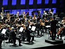 Orchestr Státní opery na koncert ve Foru Karlín