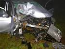Pi dopravn nehod v Plzni zemela dvaatyicetilet Britka Emma Fryerov (13....