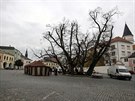 Reisér Juraj Jakubisko natáí na perovském Horním námstí ást zábr pro...