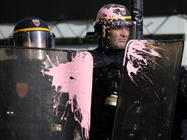 Francouzská pořádková policie byla ve městě Nantes pod palbou růžové barvy,...