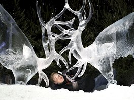 Tvůrce ledových soch Jack Hackney dolaďuje svůj výtvor - dva soupeřící jeleny -...