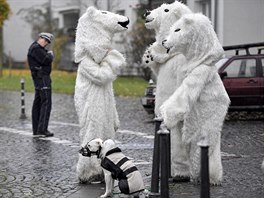 Protestující proti globálnímu oteplování oblečení jako polární medvědi...
