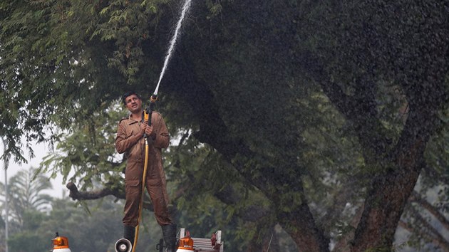 Indick hasi stk vodu do strom. Sna se tak bojovat se smogem, kter trp metropoli Dill. (14. listopadu 2017)