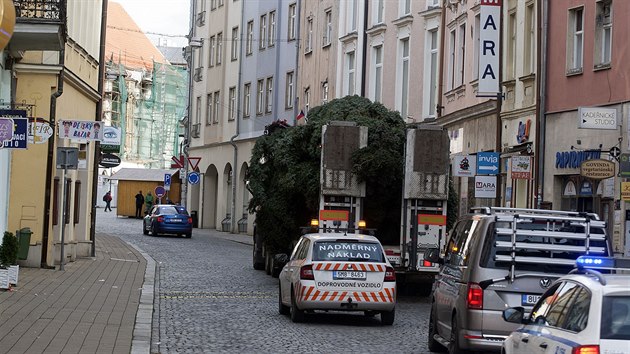 Olomouck Horn nmst zdob od nedlnho poledne vnon strom. (12. listopadu 2017)