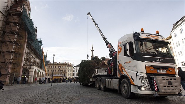 Olomouck Horn nmst zdob od nedlnho poledne vnon strom. (12. listopadu 2017)