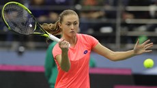 Aleksandra Sasnoviová ve finále Fed Cupu.