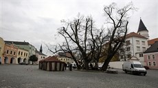 Reisér Juraj Jakubisko natáí na perovském Horním námstí ást zábr pro...