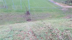 Neznámý řidič vyjel z parkoviště nad fotbalovým hřištěm, skrz živý plot sjel ze...