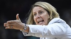 Cheryl Reeveová, trenérka Minnesota Lynx