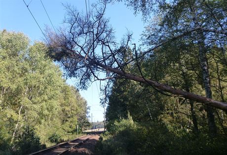 Mu pokácel borovici, která spadla na trakní vedení na trati spojující jih...