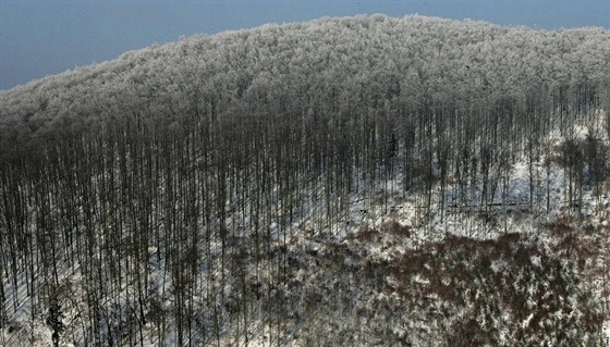 Lesy ve vojenském prostoru Libavá pinesou nov vylenným obcím do rozpot desítky tisíc korun.