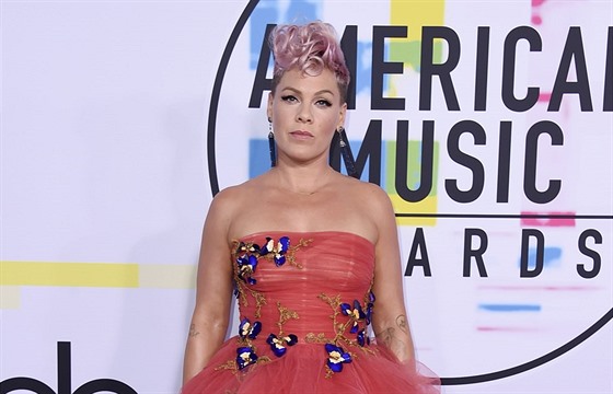 Pink na American Music Awards (Los Angeles, 19. listopadu 2017)