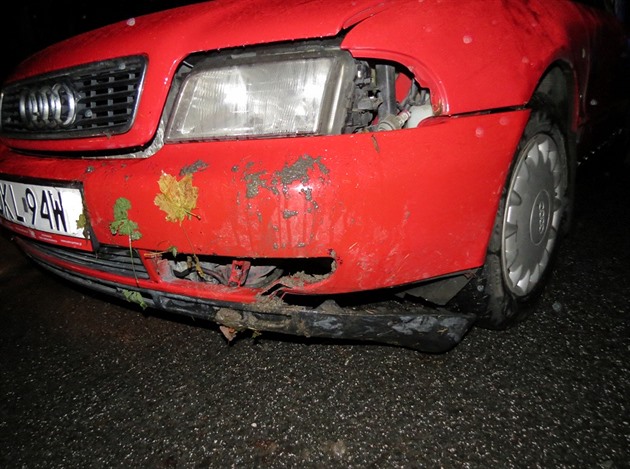 Cizinec s vozem znaky Audi havaroval nedaleko Dvora Králové nad Labem (22. 11....