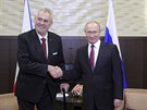 Prezident Ruska Vladimir Putin (vpravo) přijal 21. listopadu ve své černomořské...