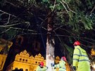 Instalace vánoního stromu na Staromstském námstí (28.11.2017 )