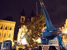 Instalace vnonho stromu na Staromstskm nmst (28.11.2017 )