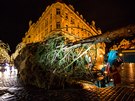 Instalace vnonho stromu na Staromstskm nmst (28.11.2017 )