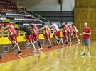 Kondiní trenér eských basketbalist Michal Miejovský a jeho svenci v...