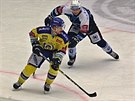 Momentka z hokejového duelu mezi Plzní (modrá) a Zlínem