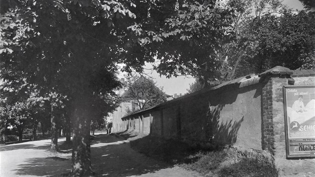 Dne 4. 7. 1932 byly fotoateliérem Čára v Jihlavě pořízeny fotografie z dnes už zaniklé zahrady jihlavského lékaře a buditele Leopolda Fritze, která bývala na ulici Tolstého.