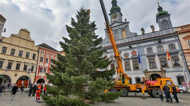 Příjezd a stavba vánočního stromu na náměstí Přemysla Otakara II. v Českých Budějovicích.