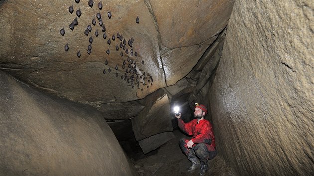 Spatit velkou kolonii vrpence malho v jeskyni Cyrilka byl pro Petra Piechowicze ohromn zitek.