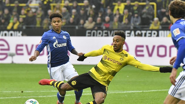 Pierre-Emerick Aubameyang z Dortmundu (vpravo) a Weston McKennie ze Schalke v bundesligovm duelu