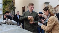 Na most� na Kamp� se turisté mohou vyfotit s �ivými králíky. Za peníze
