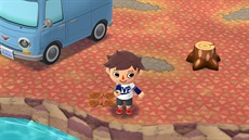 Animal Crossing: Pocket Camp