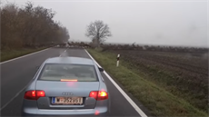 Řidiče v Maďarsku šokovalo obrovské stádo jelenů.