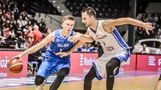 eský basketbalista Vojtch Hruban (vpravo) brání Martina Hermannssona z...