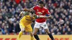 Pascal Gross z Brightonu (vlevo) a Marcus Rashford z Manchesteru United v...